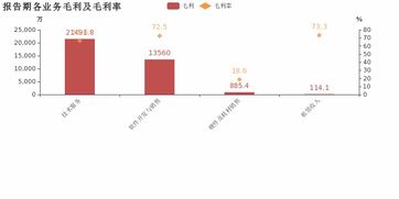 博思軟件歸母凈利潤(rùn)增速56.1%創(chuàng)5年新高，技術(shù)服務(wù)業(yè)務(wù)成利潤(rùn)增長(zhǎng)核心引擎